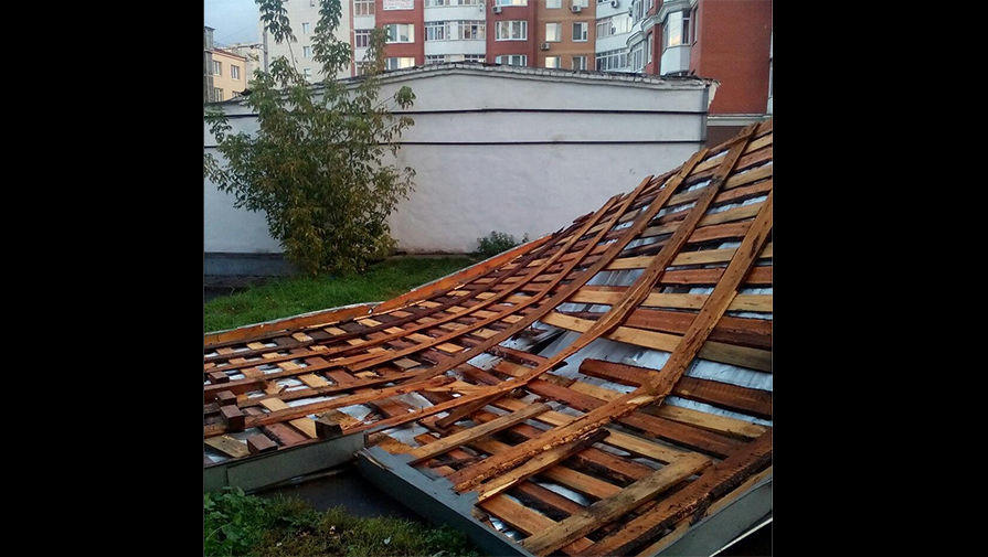 Из-за шквалистого ветра в Москве упали 150 деревьев