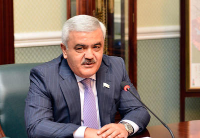 Rövnəq Abdullayev: "TANAP kəməri Əskişəhərə 2018-ci ilin ortalarında çatacaq"