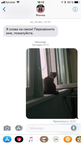 нововведения iOS 11: iMessage