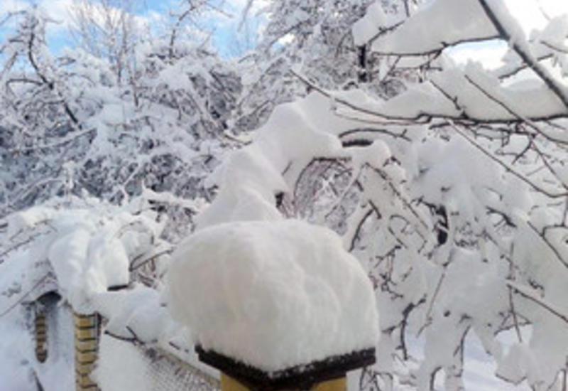 В Лерике высота снежного покрова составила 20 см