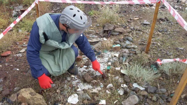 В Гяндже рядом с мавзолеем Низами обнаружили гранату