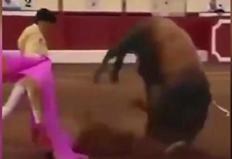 В Сети появилось видео невероятной победы тореадора над быком