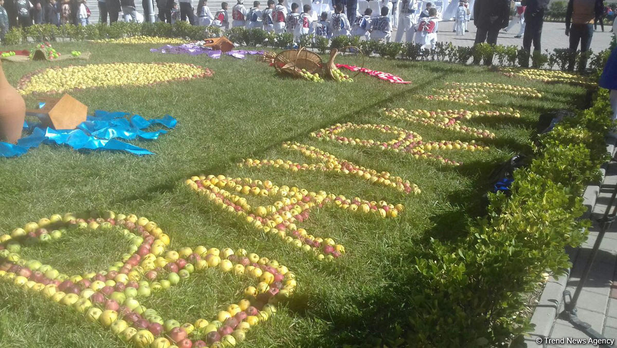 Красочный Фестиваль яблок и ковра в Губе