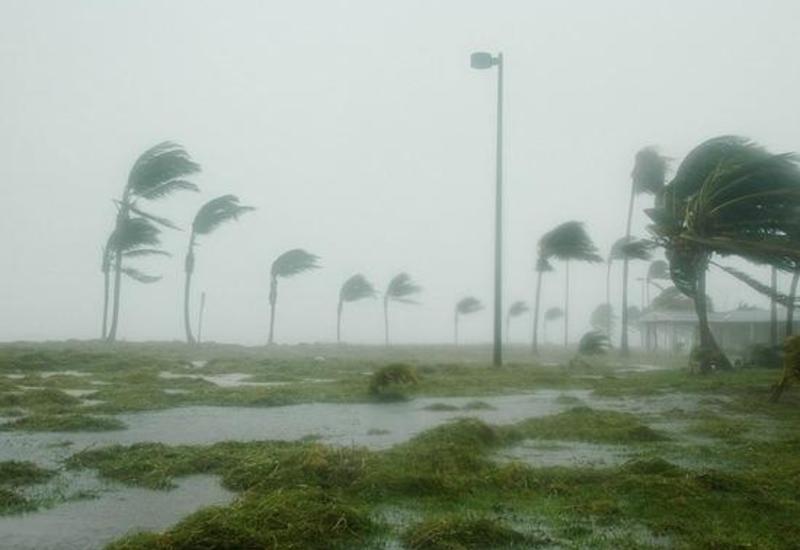 Apple обещает помочь пострадавшим от урагана "Майкл", обрушившегося на США