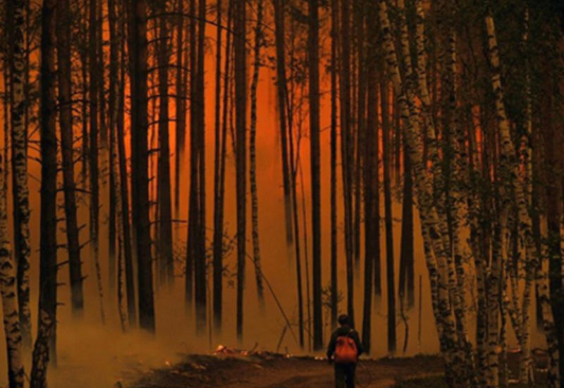 Лесные пожары бушуют в Калифорнии: есть жертвы