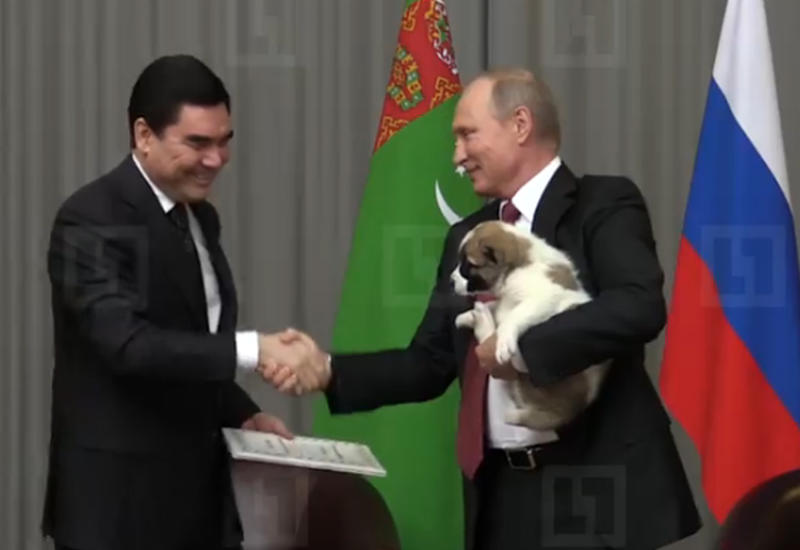 Бердымухамедов подарил Путину щенка