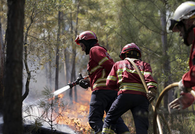 Лесные пожары в Португалии убили десятки человек