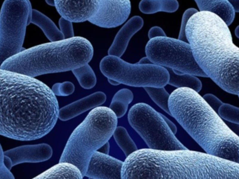Bədənimizdə neçə kilo mikrob var?