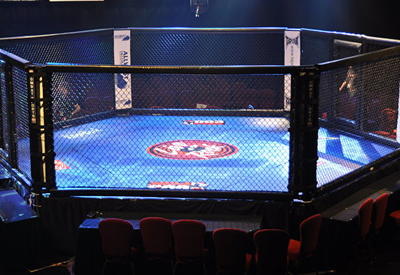 В соцсетях обсуждают кровавый поединок женщин-бойцов MMA <span class="color_red">- ФОТО - ВИДЕО</span>