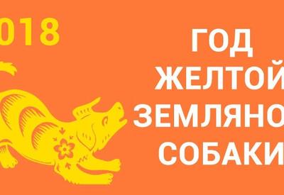 Желтая Земляная Собака наступает! Что уготовили звезды каждому знаку зодиака в 2018 году <span class="color_red">- ФОТО</span>