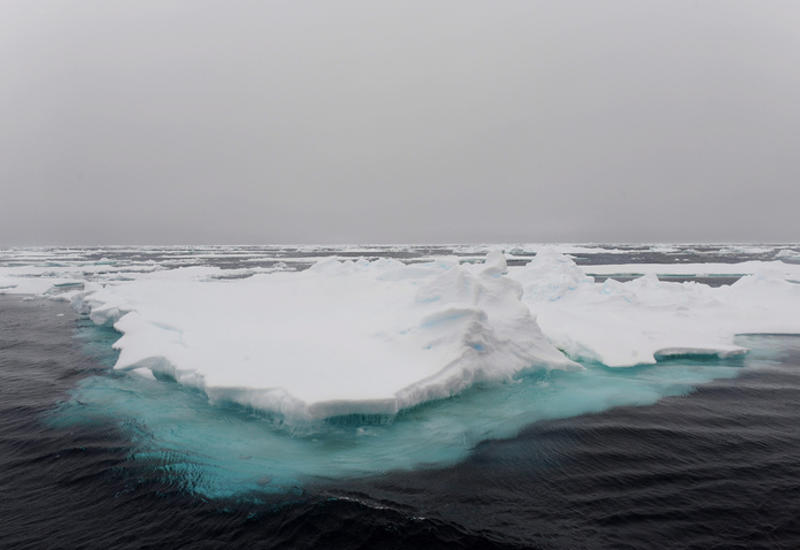 Процесс таяния антарктических ледников ускоряется
