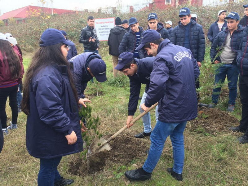 В ходе прошедшей по инициативе Общественного объединения IDEA акции по озеленению школьники посадили более 400 деревьев