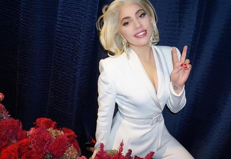 Леди Гага вызвала "скорую" фанатке, пострадавшей во время ее концерта