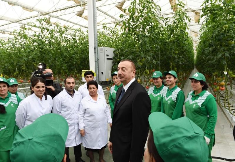 Президент Ильхам Алиев: Экспортные возможности Азербайджана увеличатся в разы