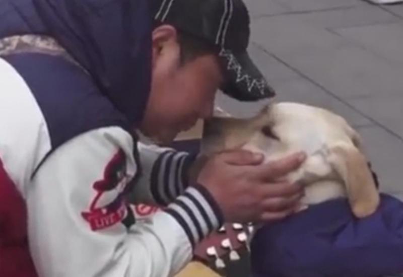 Уличный музыкант сделал собаку своим партнером по бизнесу