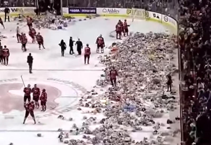 Канадские поклонники хоккея забросали лед 24 тысячами плюшевых мишек