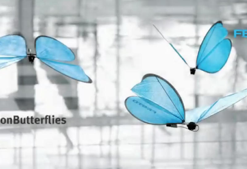 Кибер-красота: немецкая компания создала бабочек-роботов