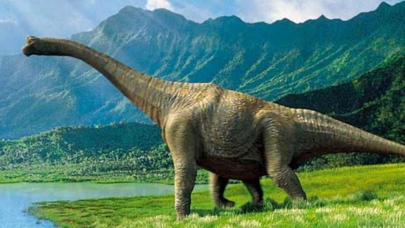 Dünyada ən böyük dinozavr izi tapıldı
