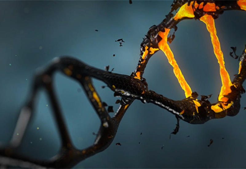 Ученые выяснили, как алкоголь повреждает ДНК