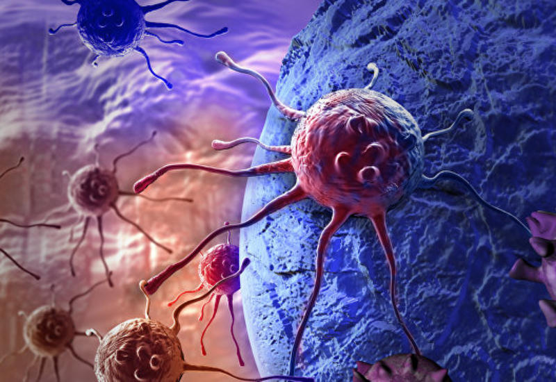 Ученые обнаружили вирус, который борется с раком мозга