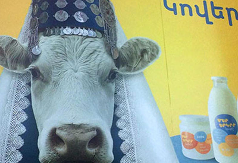 Корова в армянском костюме вызвала истерику в соцсетях