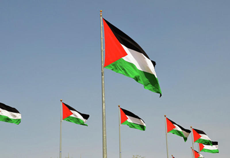 В ООН могут поднять вопрос о создании Палестинского государства
