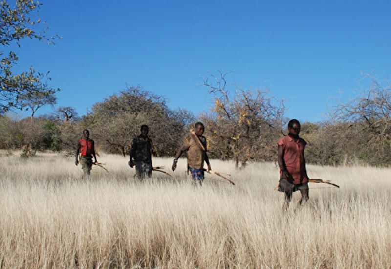 Яд стрел африканских охотников предложили использовать для контрацепции