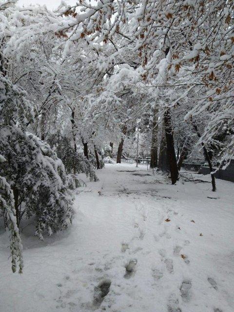Иран неожиданно засыпало снегом