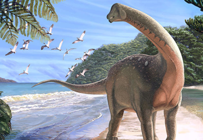 Палеонтологи нашли в Египте останки ранее неизвестного науке динозавра