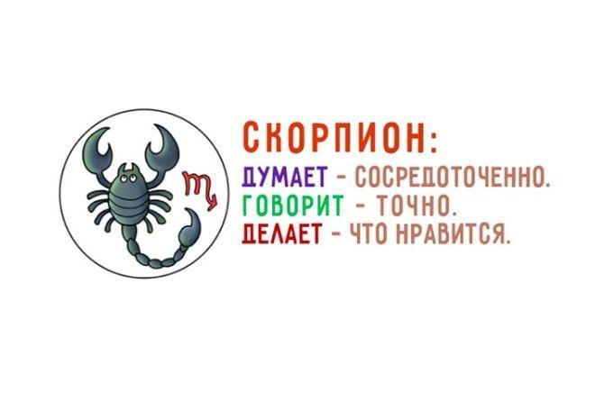 SЗабавный гороскоп который поднимет настроение и расскажет всю правду о вас