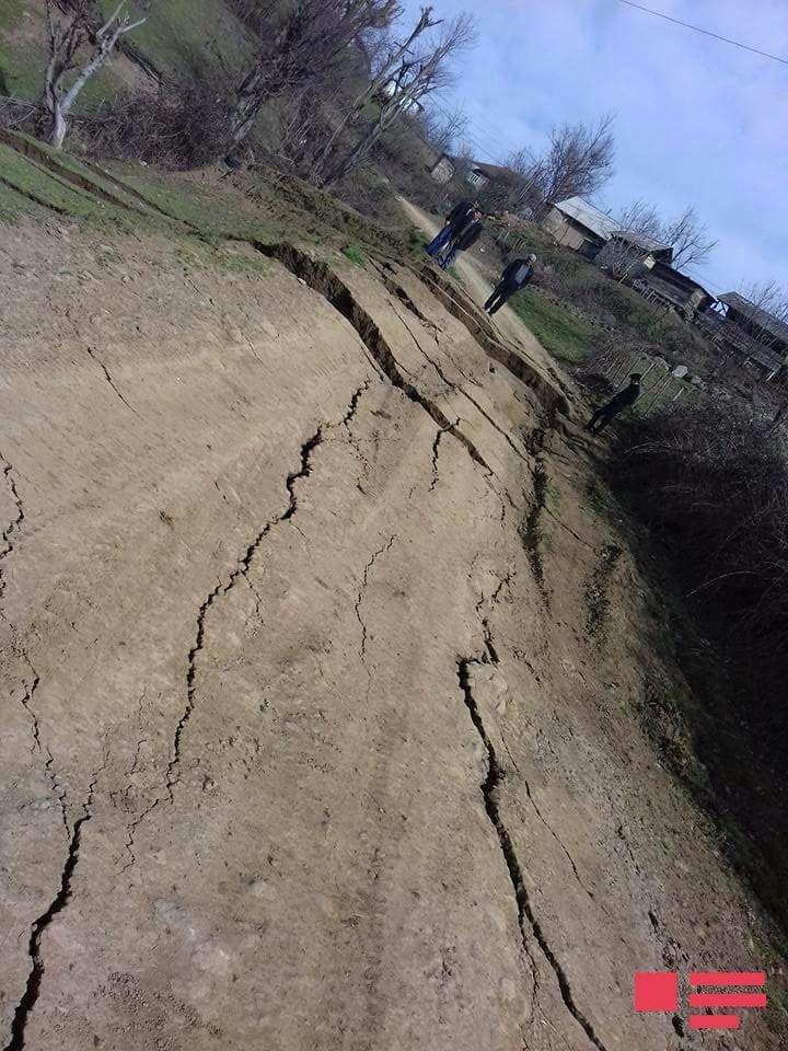 Оползень змея фото и описание