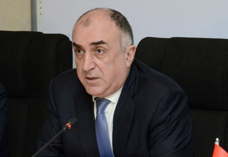 Эльмар Мамедъяров о подготовке Азербайджана к предстоящему экономическому форуму в Туркменбаши