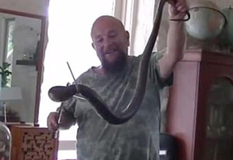 Австралиец принял смертельно опасную змею за зарядку от телефона