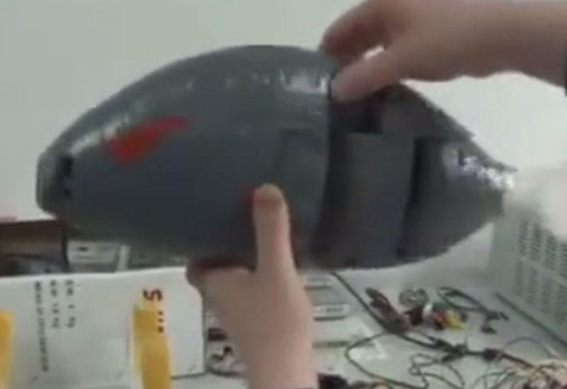 Türkiyədə "robot balıq" hazırlandı