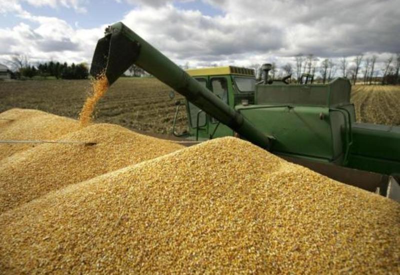 Россия планирует увеличивать поставки пшеницы в Алжир