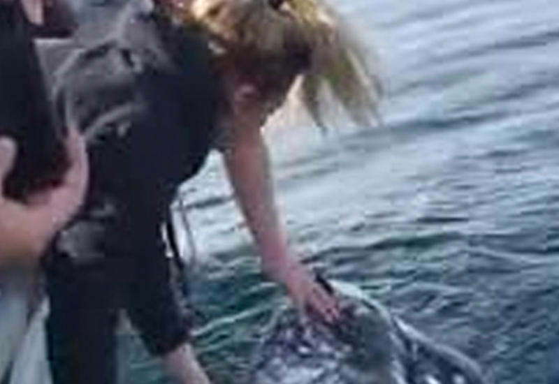 Туристы рискнули жизнью и свободой ради селфи с китом