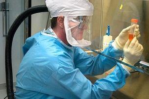 Сингапурские ученые в лаборатории вырастили злокачественную опухоль печени