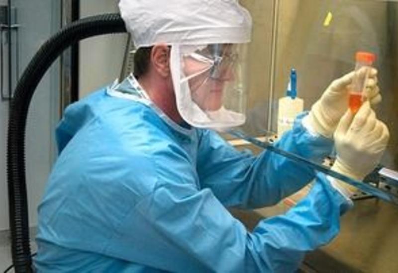 Сингапурские ученые в лаборатории вырастили злокачественную опухоль печени