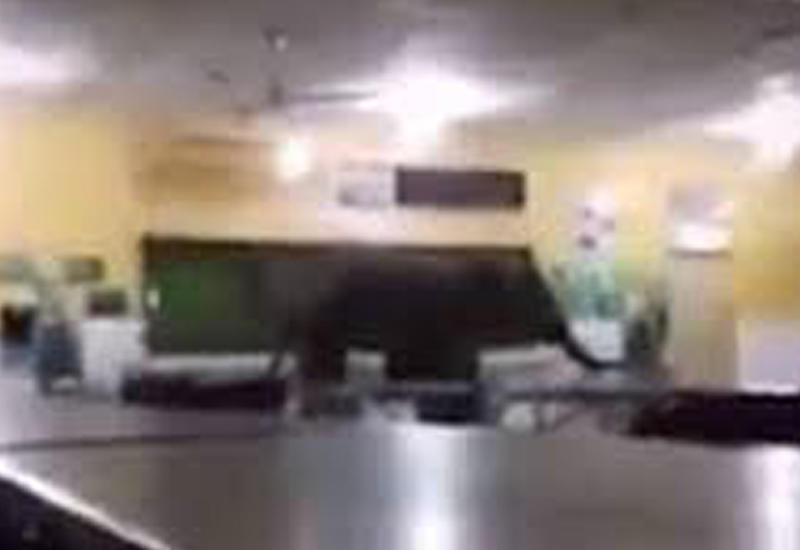 В Малайзии проголодавшийся слон ворвался в школьную столовую