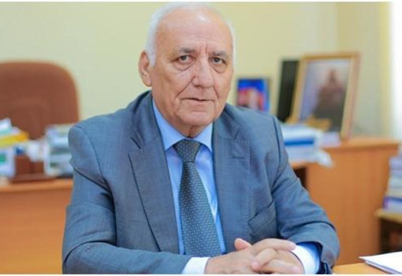 Директор Института истории Азербайджана ответил на обвинения в армянофобии