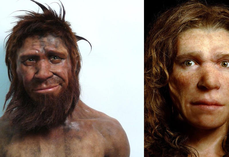 Как люди будут выглядеть через 100 тысяч лет