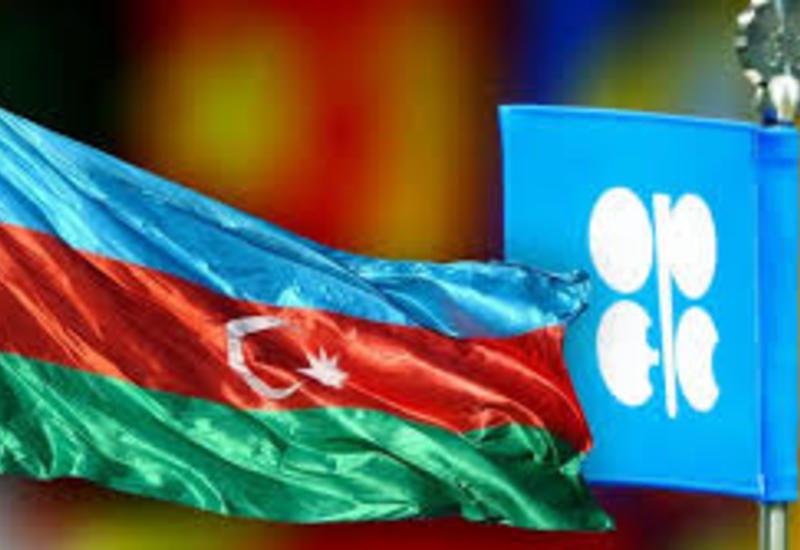 Глава минэнерго о сотрудничестве ОПЕК и Азербайджана