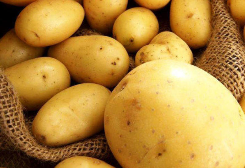 В России килограмм картофеля из Азербайджана стоит более 6 манатов