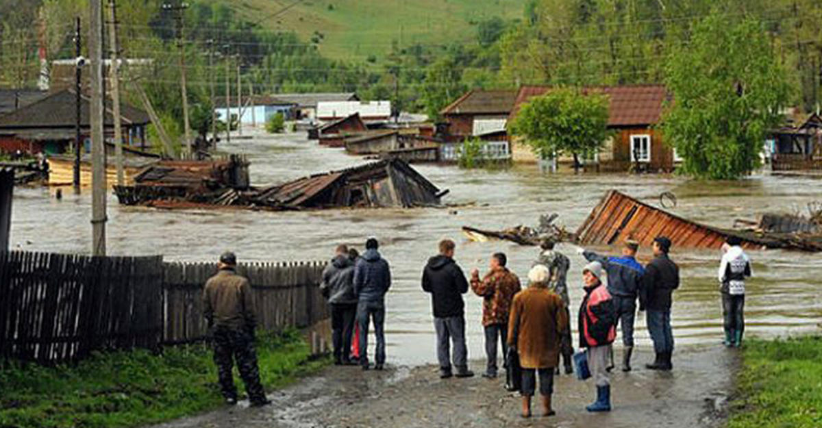 Уровень воды в чарыше на сегодня