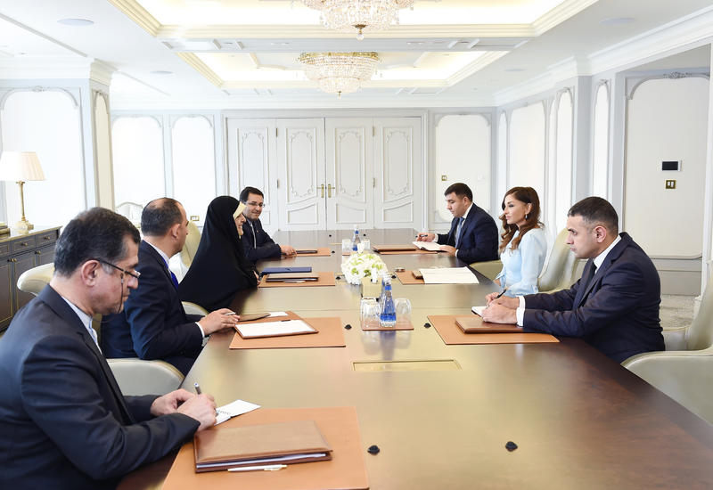 Первый вице-президент Мехрибан Алиева встретилась с заместителем Президента Ирана по вопросам женщин и семьи