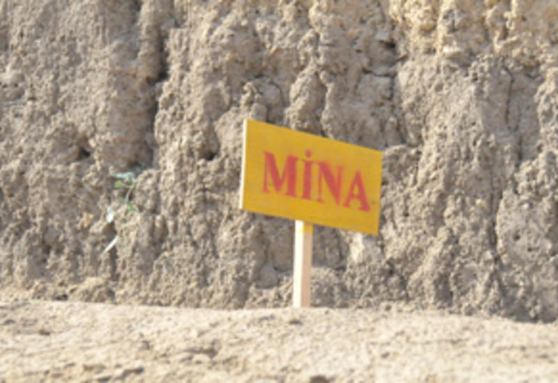 Начато расследование по факту подрыва тракториста на мине в Тертере