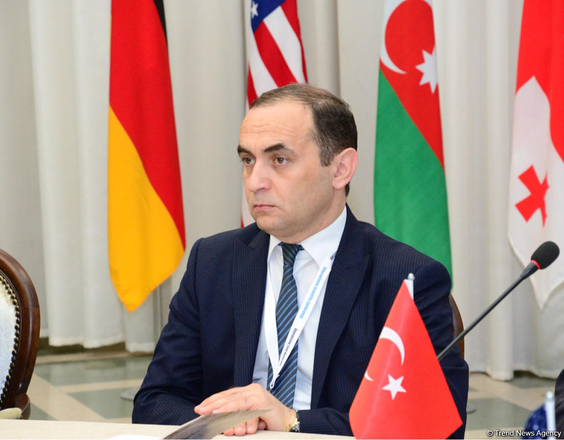 Турецкий профессор: Армяне - главные виновники и участники геноцида в Кавказском регионе