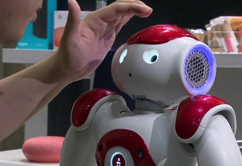 Японские роботы обрели эмоциональный интеллект и стали невероятно внимательными