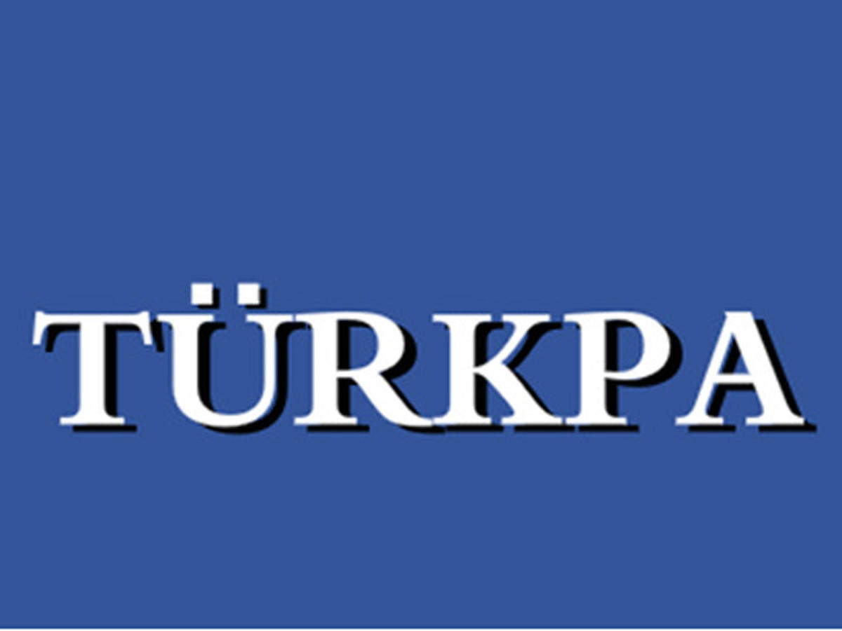ТюркПА и Тюркский совет высоко оценили президентские выборы в Азербайджане