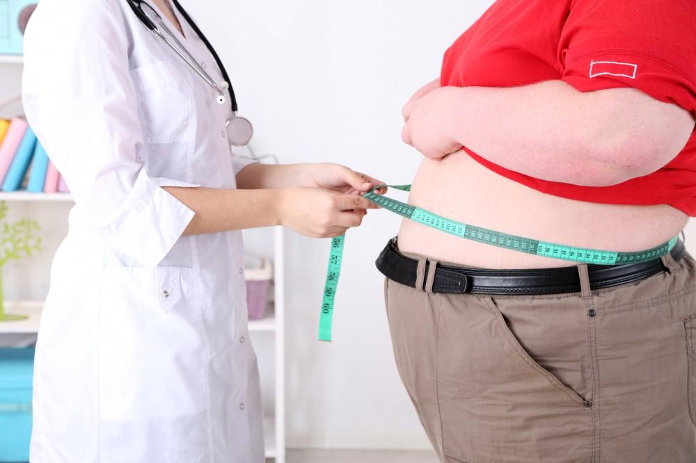 Биологи из США открыли бактерий, вызывающих ожирение